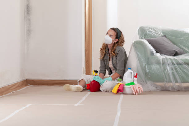Reliable Basement Mold Removal contractor in Linden, NJ by WQB Mold Removal